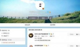 视频爆料技巧大全,全方位掌握信息传播之道